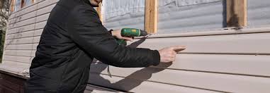 Best Siding Maintenance  in Temperance, MI